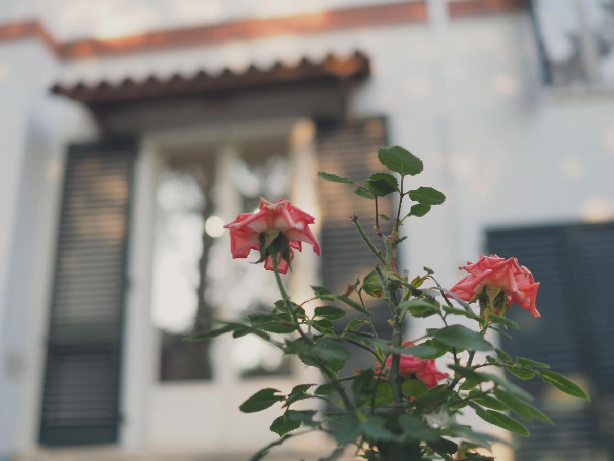 Villa Monti Colli del Tronto Ngoại thất bức ảnh